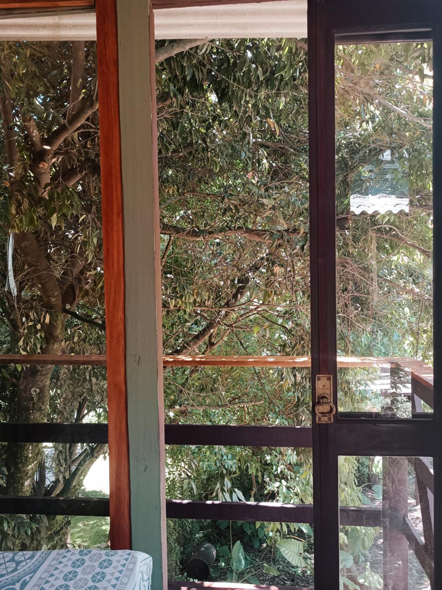 Gramado Guest House エクステリア 写真